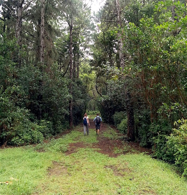 1st Black River Gorges National Park