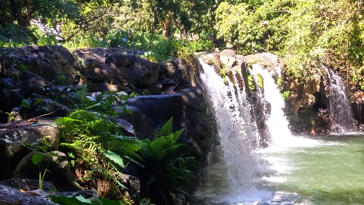 Waterfalls in Mauritius