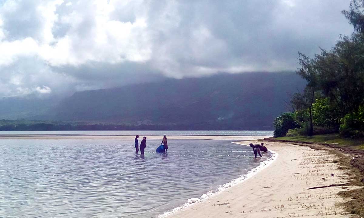 Ile aux Benitiers, west coast of Mauritius