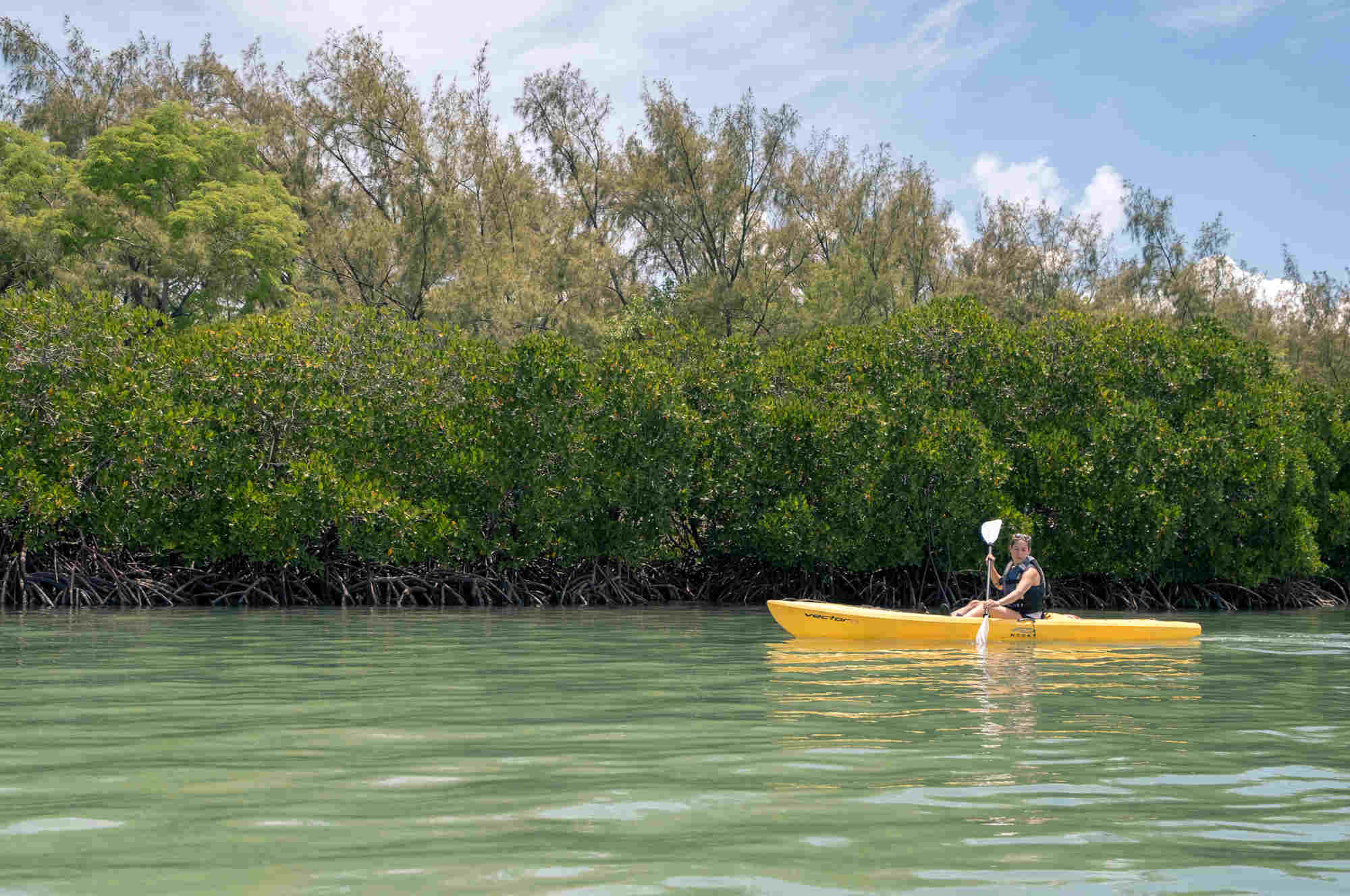 Rent a kayak Mauritius