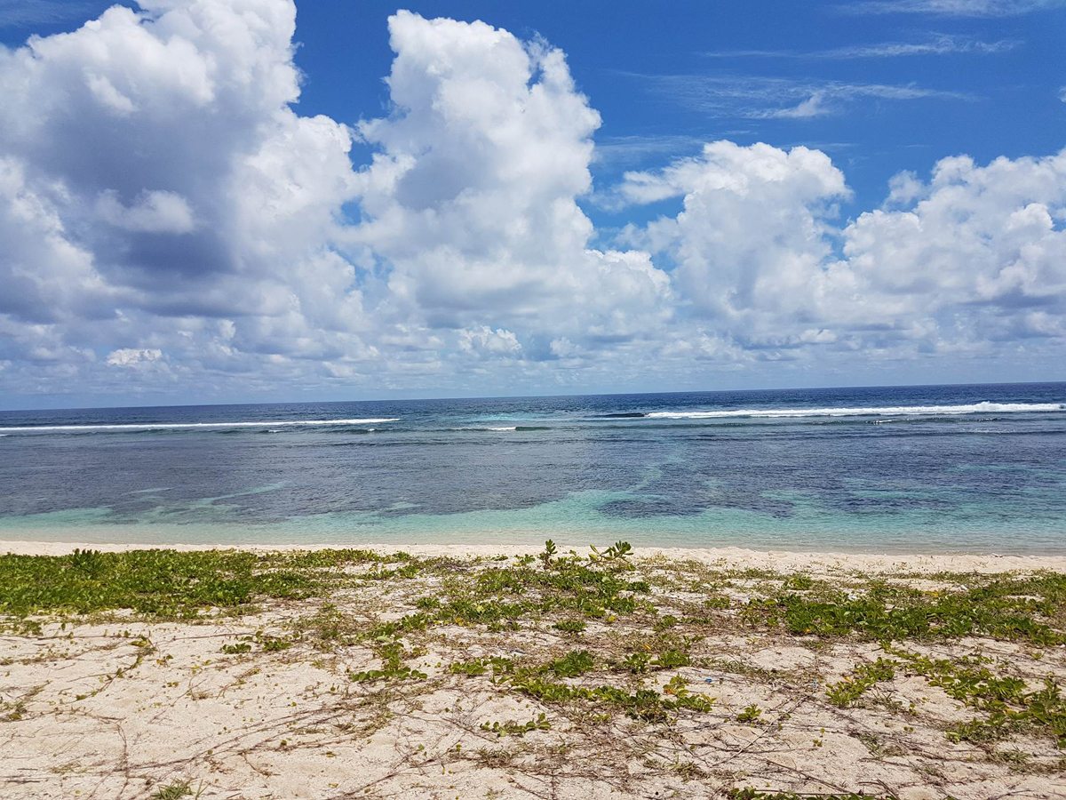 Snorkel in Pomponettes Beach, Mauritius