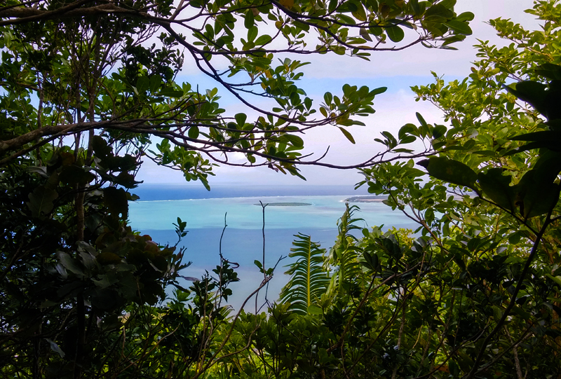 view_when_hiking_lion_mountain