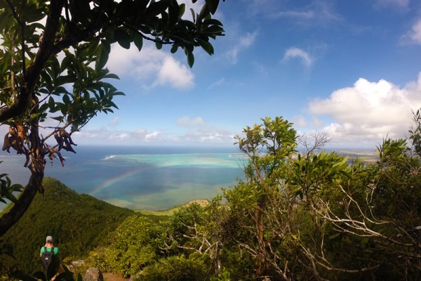 lion-mountain-hike-view