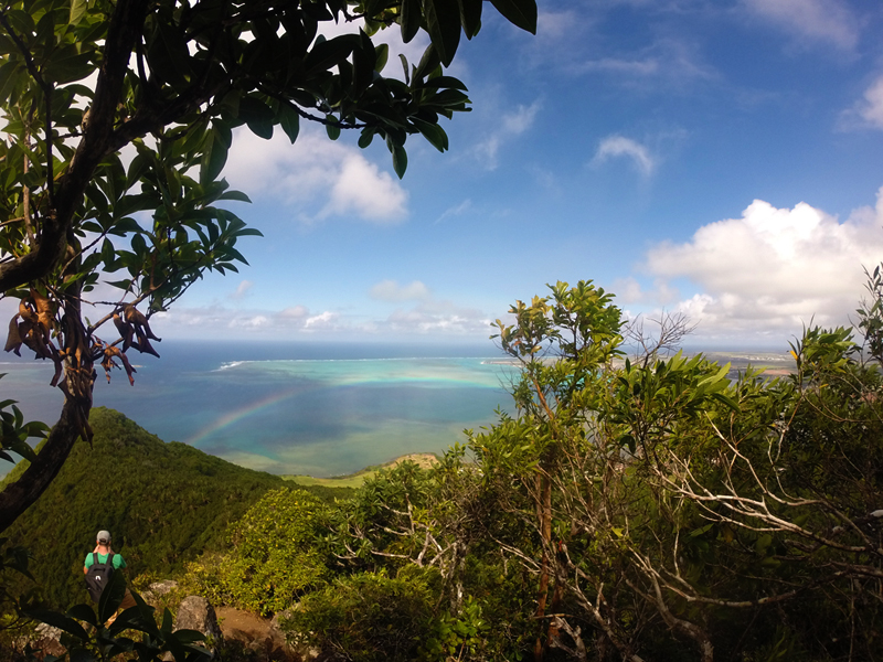 lion-mountain-hike-view