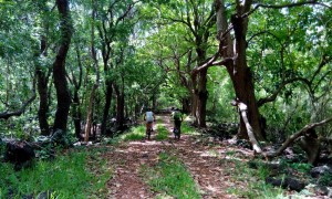 Mountain biking in Bras d’Eau National Park