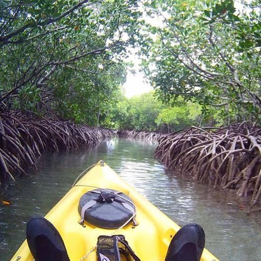 Conscious Traveler, Vuyelwa, paddling through mangroves in Ile d’Ambre