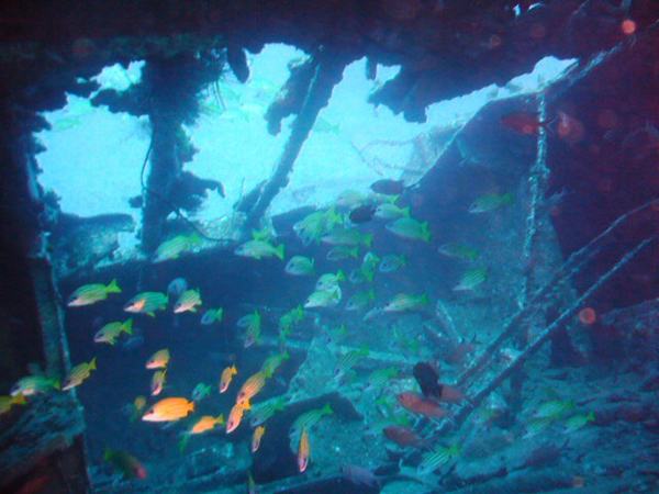 Diving in shipwrecks in Mauritius