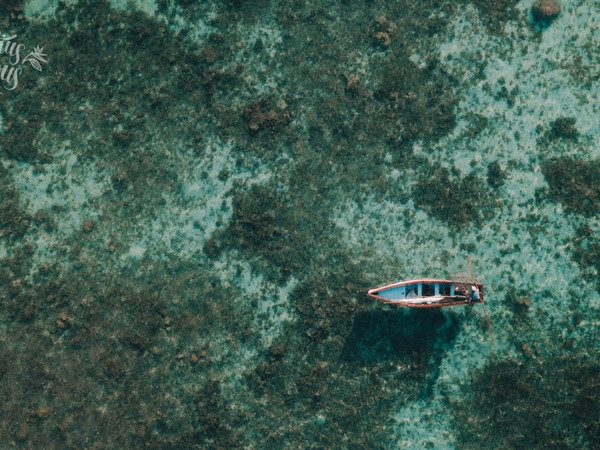 Cultural immersion in a fishermen village