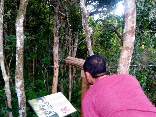 Family hike in the Ebony Forest Reserve