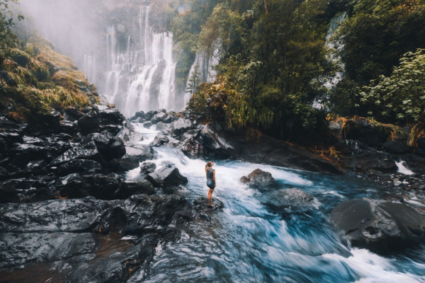 reunion island nature