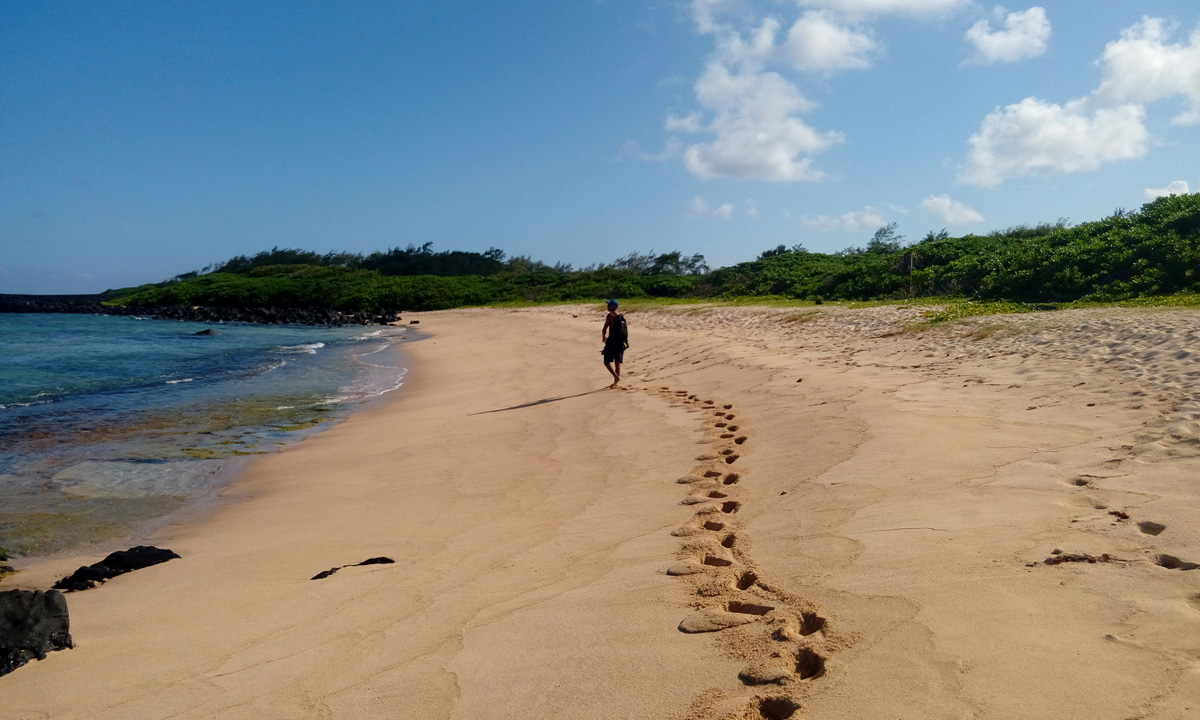 Sustainable tourism in Mauritius