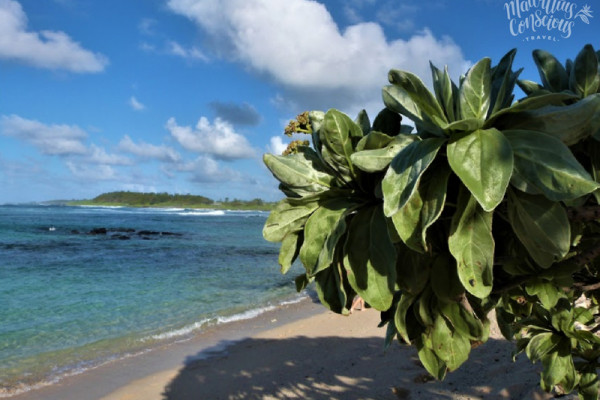 Mauritius beaches