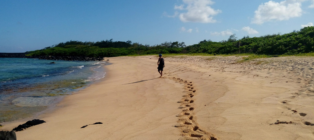 Ecotourism in Mauritius