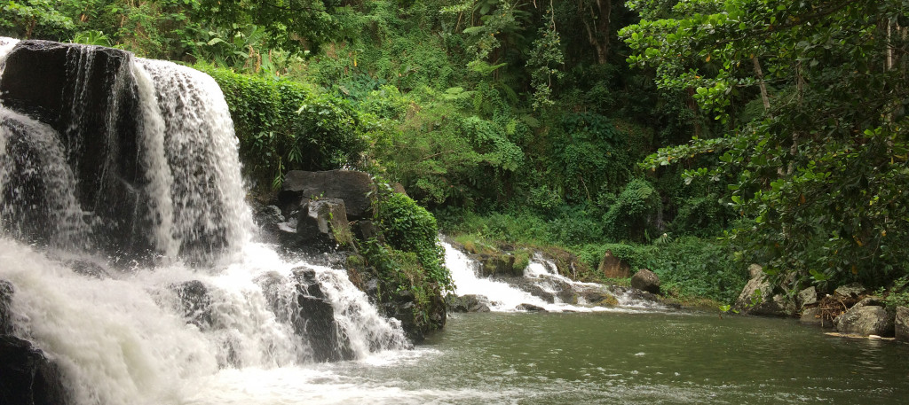 Holiday experience in Mauritius