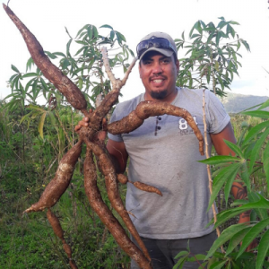 Permaculture Mauritius