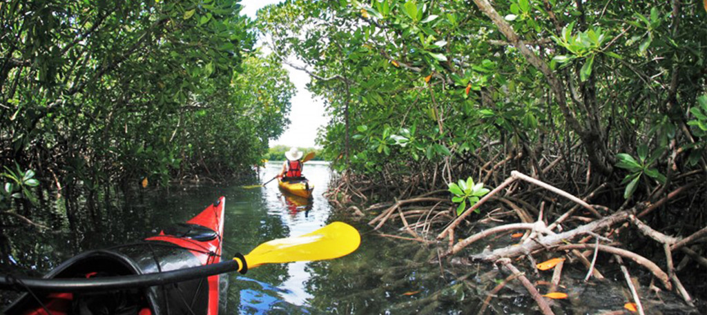 Family adventure holidays