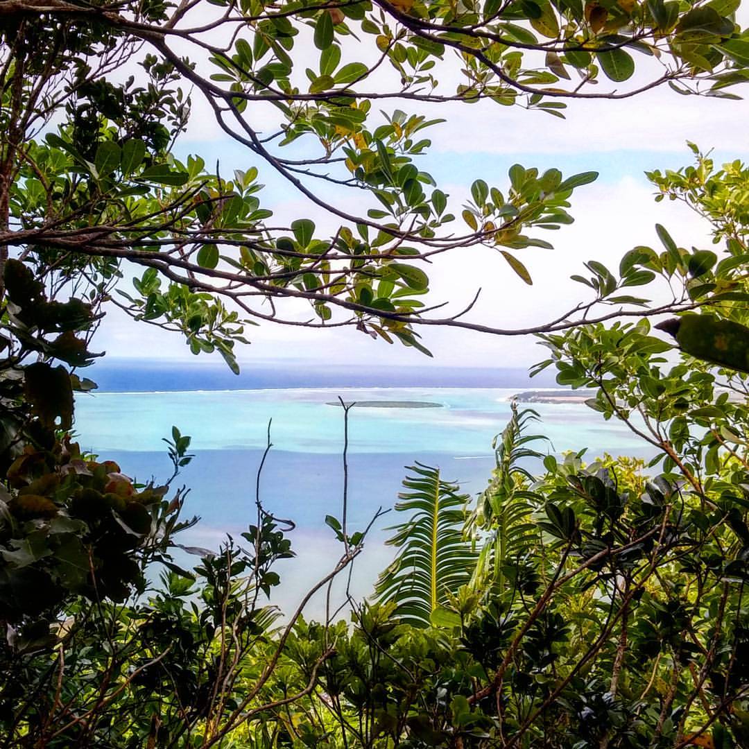  hiking the Lion mountain