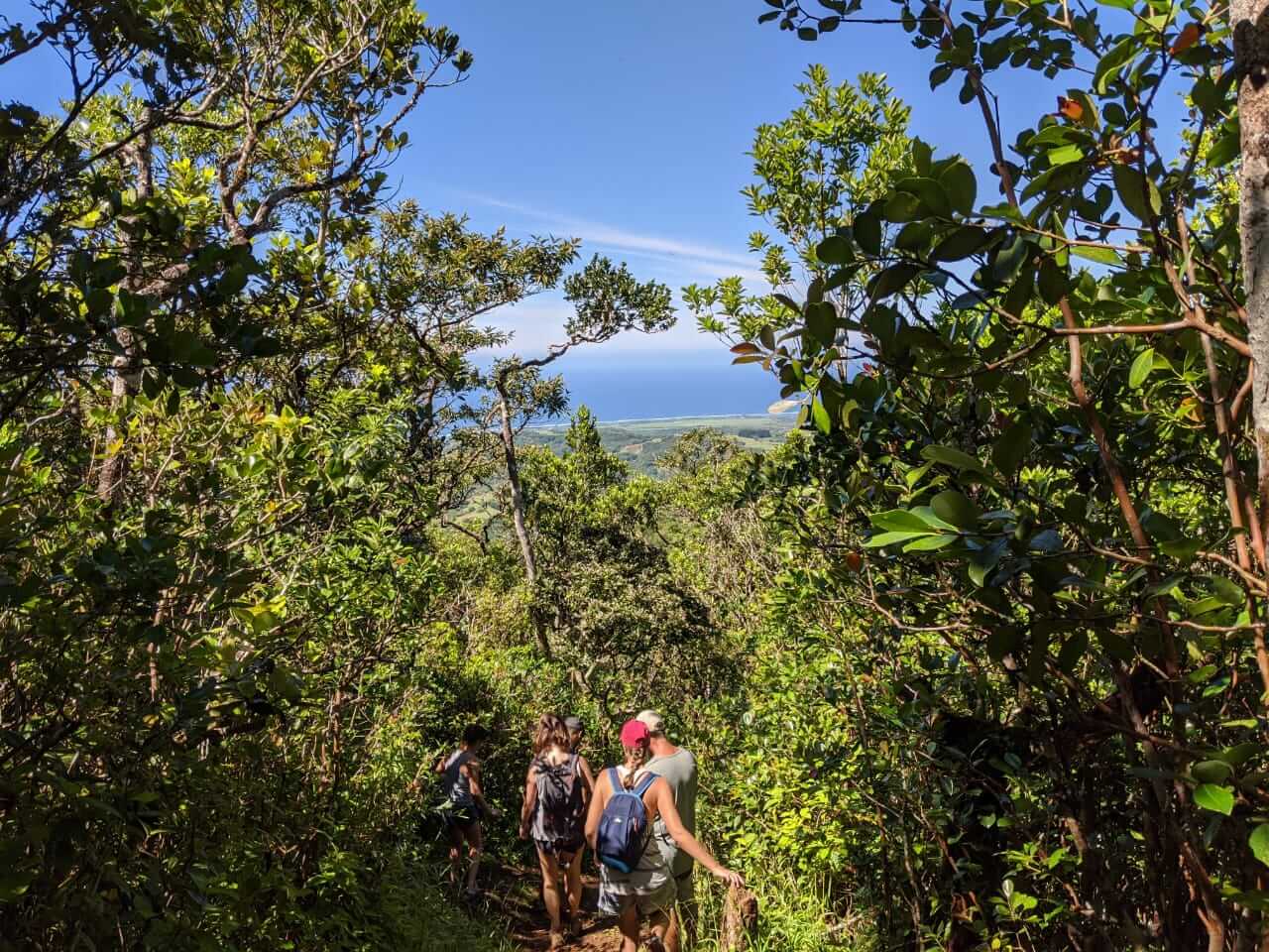 hiking_in_mauritius_1